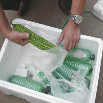 蔬菜保鲜运输用冰瓶