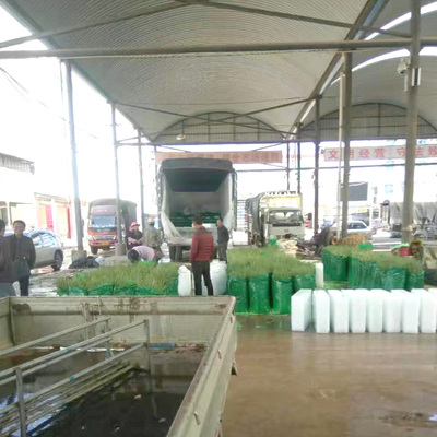 德州蔬菜降温冰块、聊城保鲜冰块、蔬菜用冰、